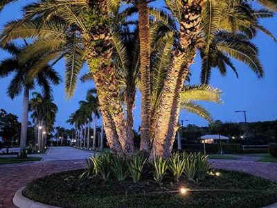 Landscape Exterior Lighting Services